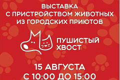 Ищете хвостатого друга? Приходите в Измайловский парк!